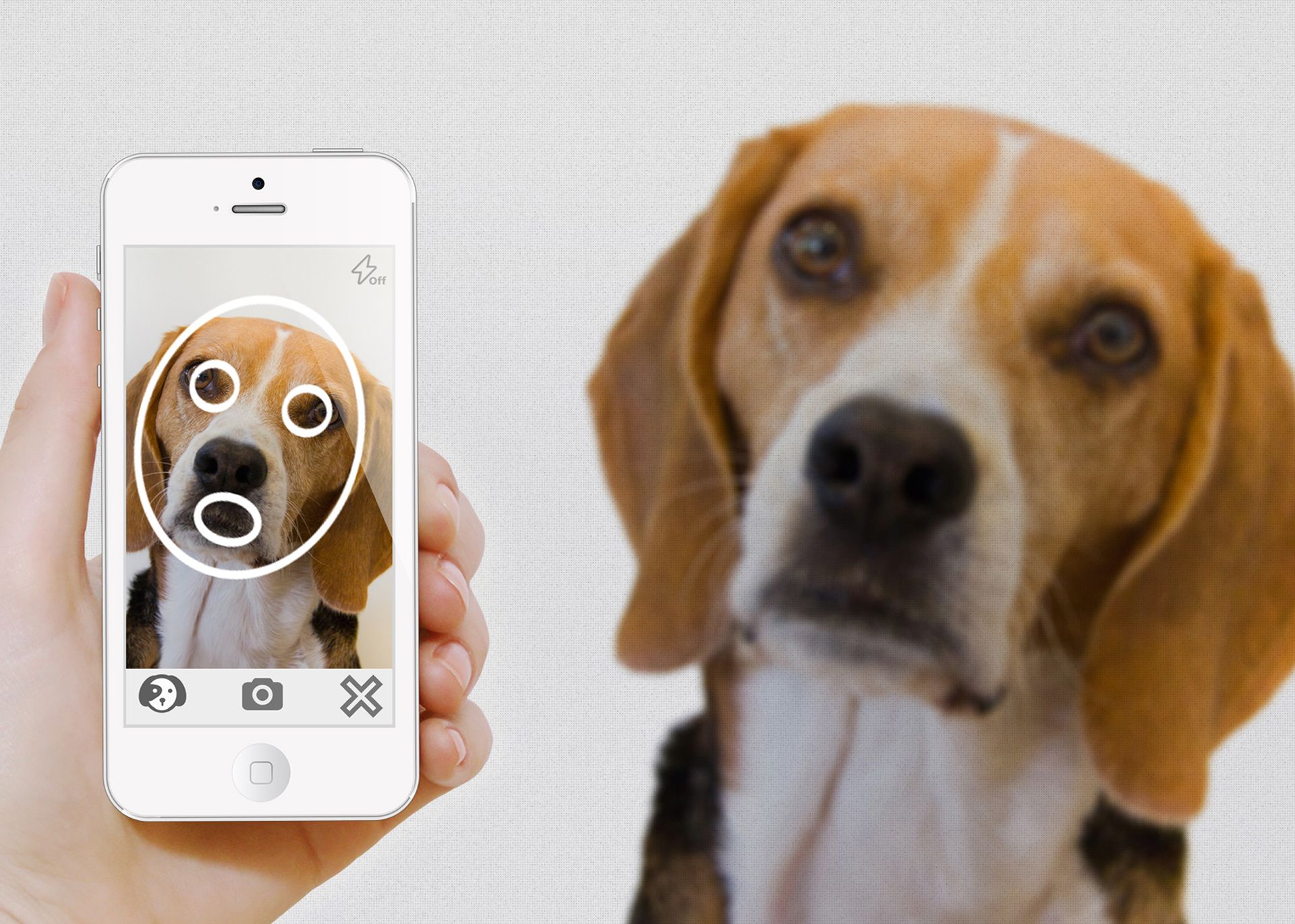 Face Recognition Ceaselessly Boom,Dog Face Recognition Is Coming