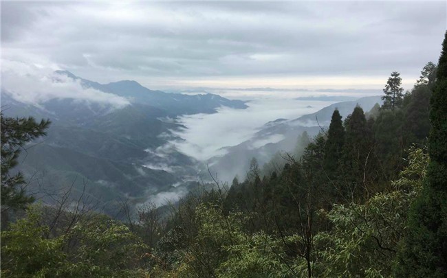 Telpo Jinggang Mountains Quality-extended Training